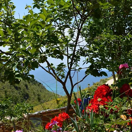 Mirror Ksamil - Zervo アパートホテル 3*